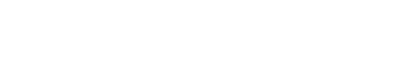 Concentric Health Experience logo white